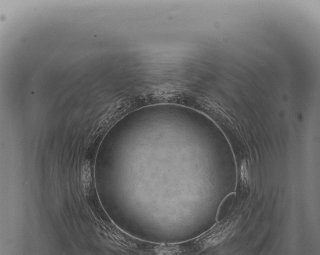 X0000068841299200605121356