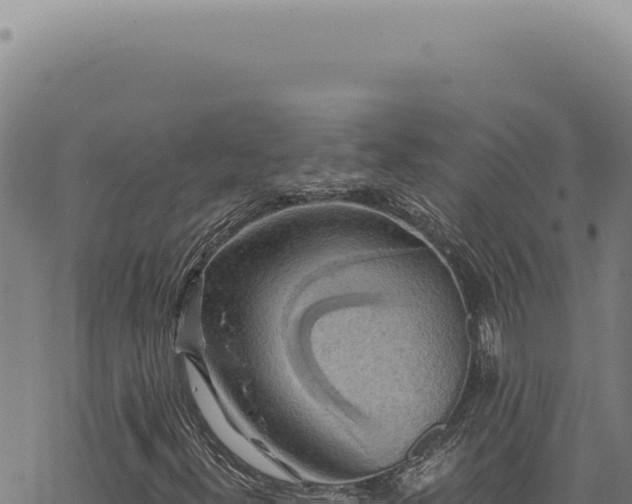 X0000068841300200605121356