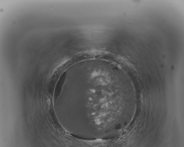 X0000068841302200605121356