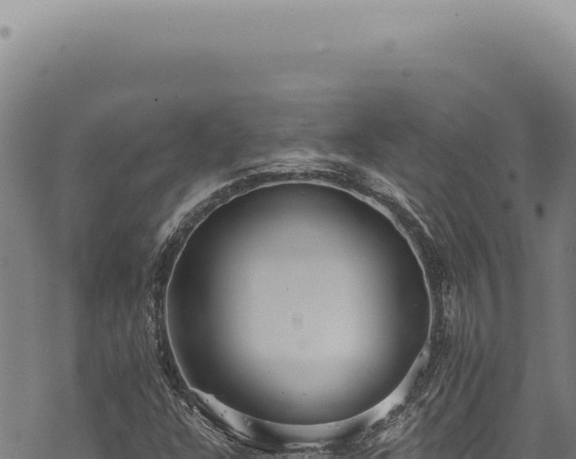 X0000068841304200605121356