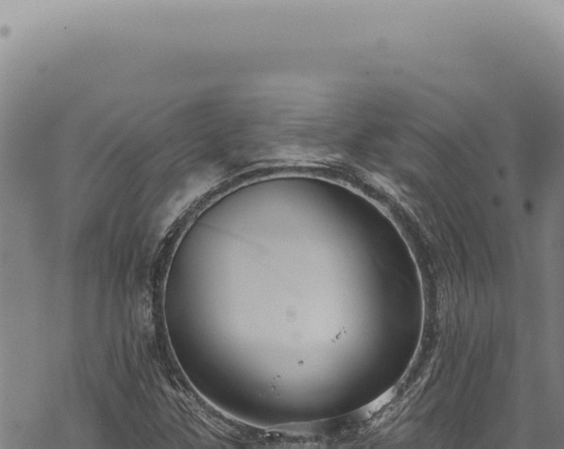 X0000068841307200605121356