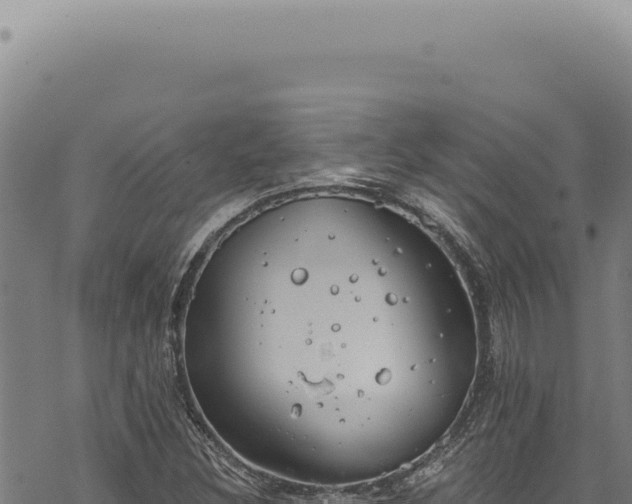 X0000068841308200605121356