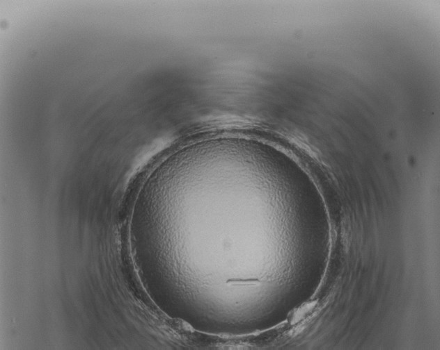 X0000068841309200605121356