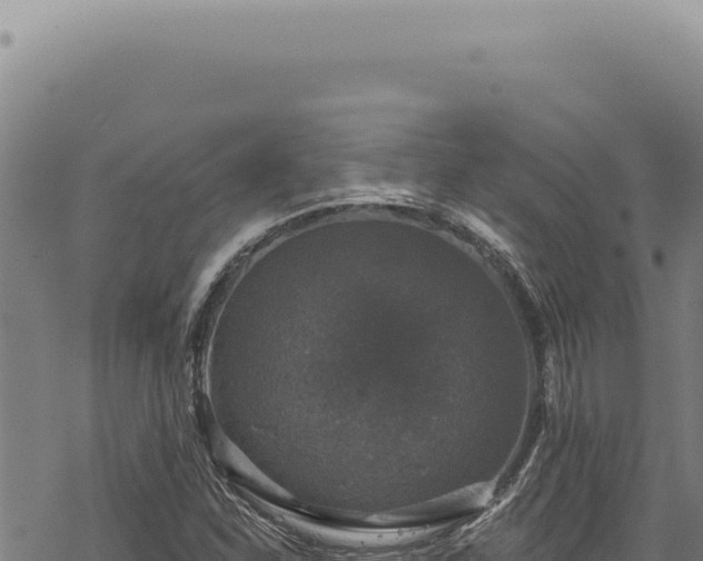 X0000068841310200605121356