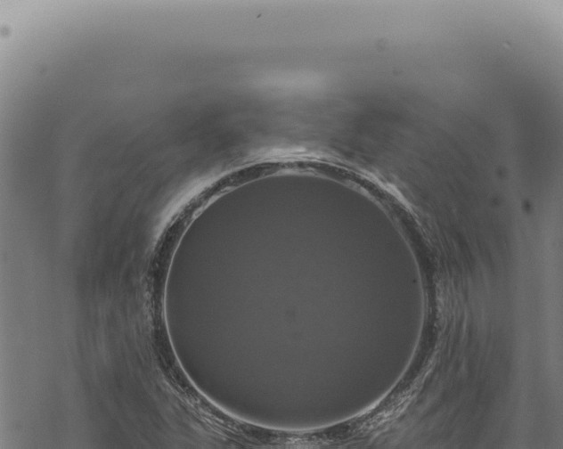 X0000068841311200605121356