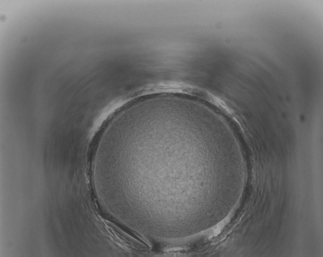 X0000068841312200605121356