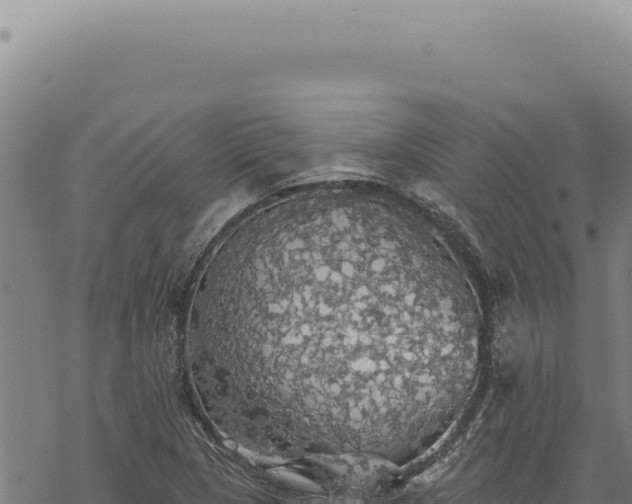 X0000068841313200605121356