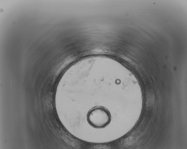 X0000068841314200605121356