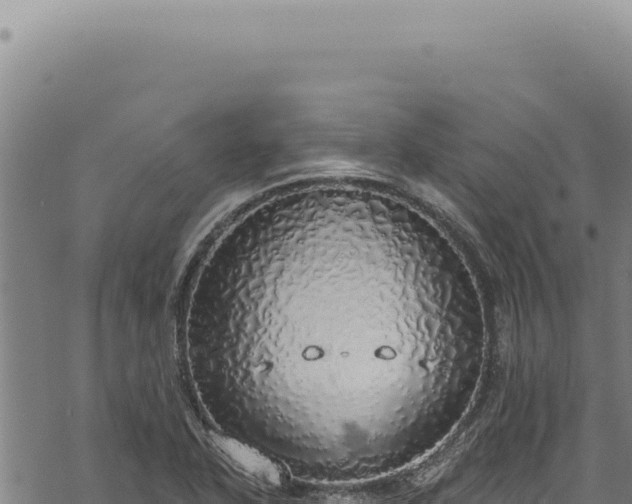 X0000068841318200605121356