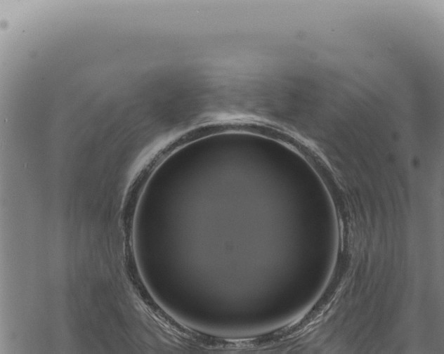 X0000068841319200605121356