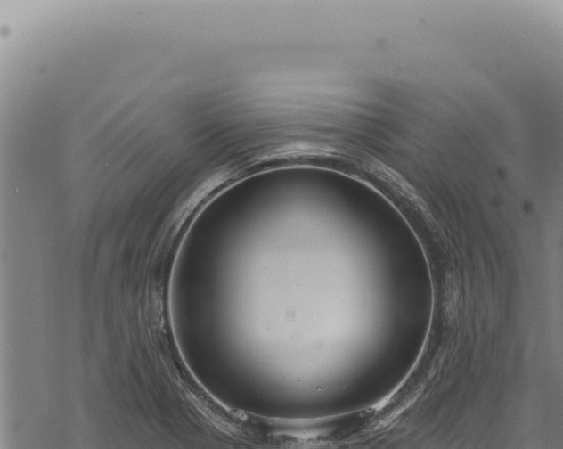 X0000068841321200605121356