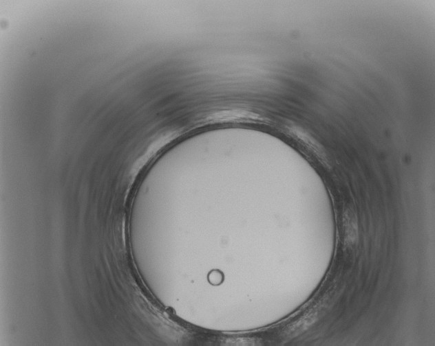 X0000068841322200605121357