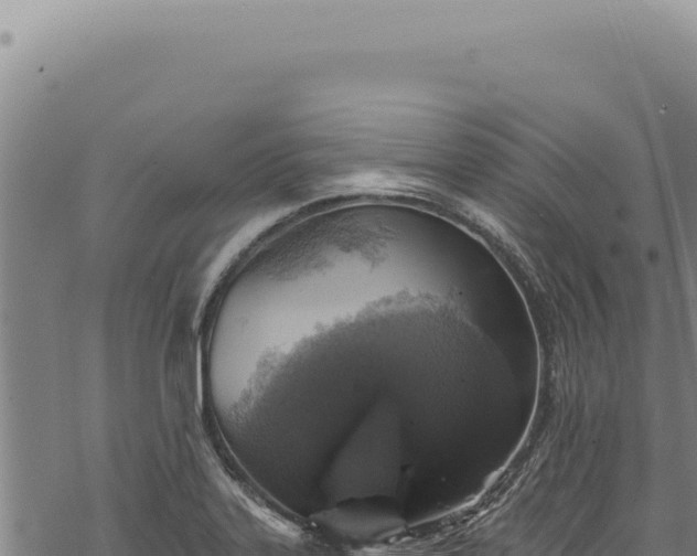 X0000068841323200605121357