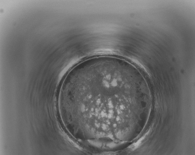 X0000068841325200605121357