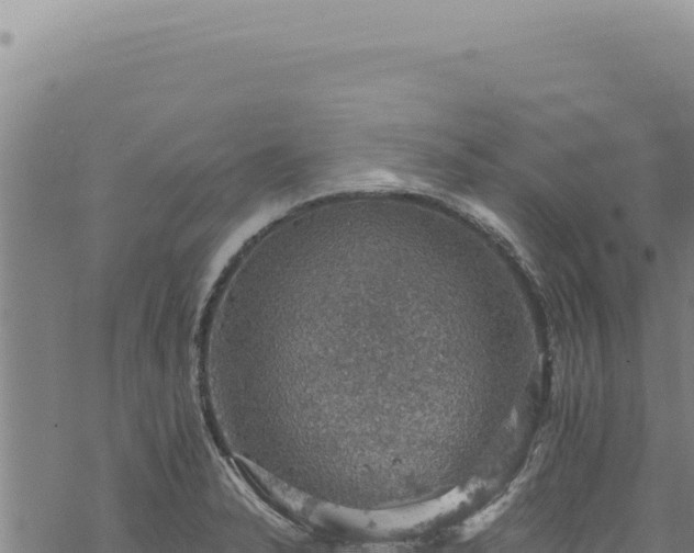 X0000068841326200605121357