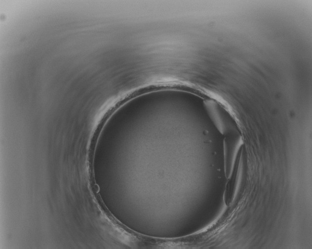 X0000068841327200605121357