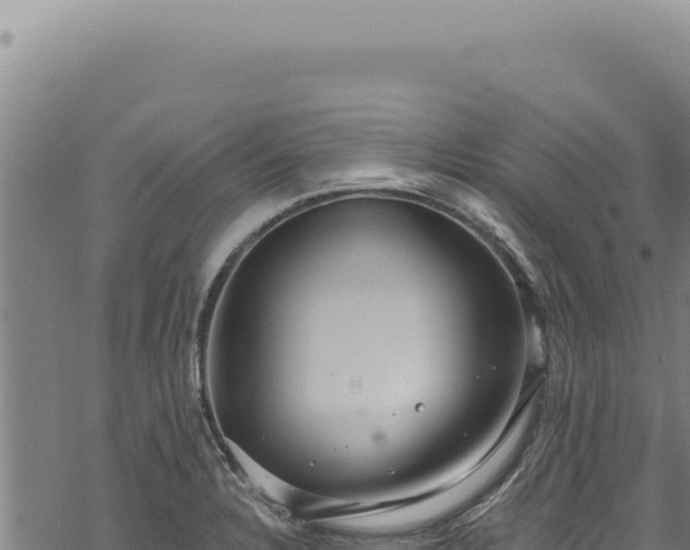 X0000068841328200605121357