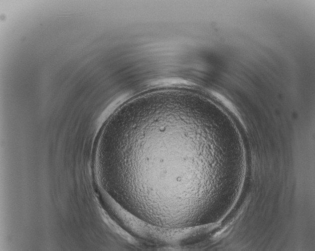 X0000068841330200605121357