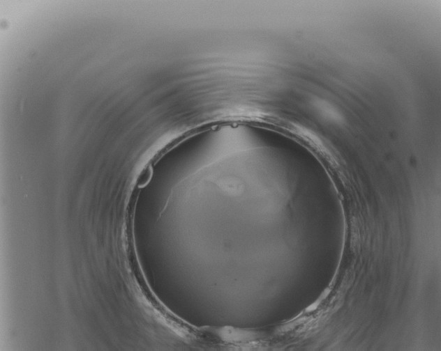 X0000068841331200605121357