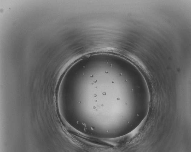 X0000068841332200605121357