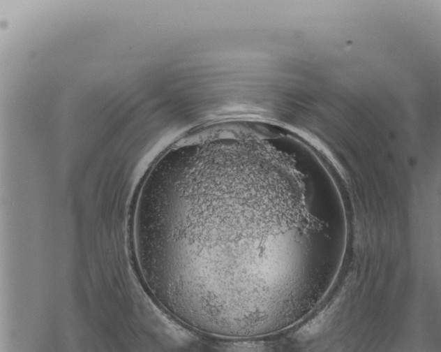 X0000068841333200605121357