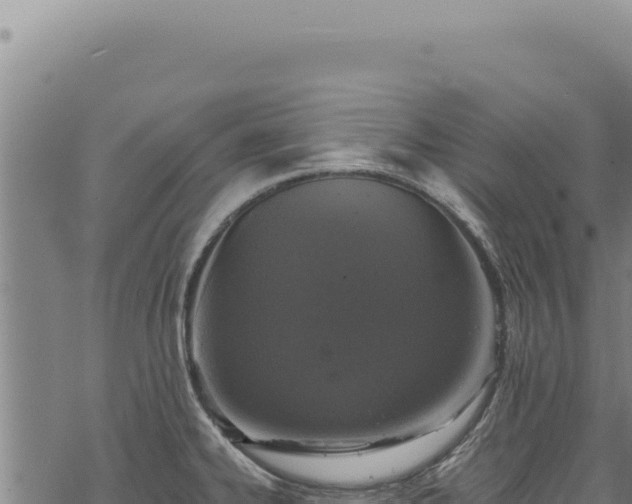 X0000068841334200605121357