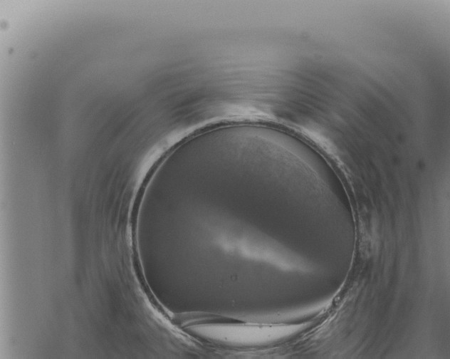 X0000068841335200605121357