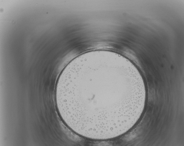 X0000068841338200605121357