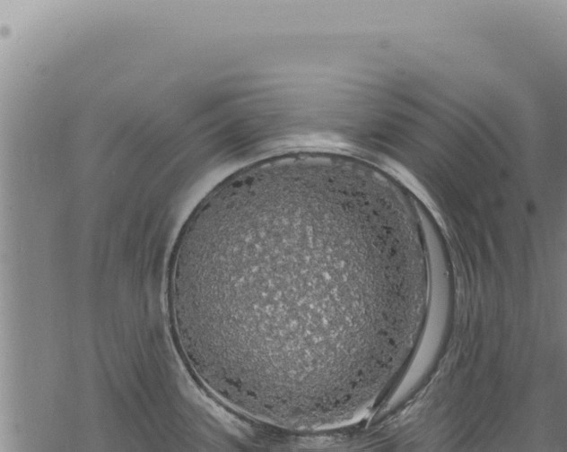 X0000068841339200605121357