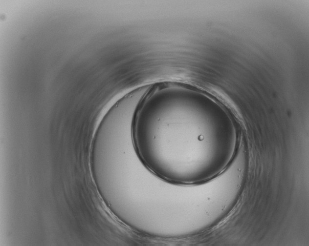 X0000068841340200605121357