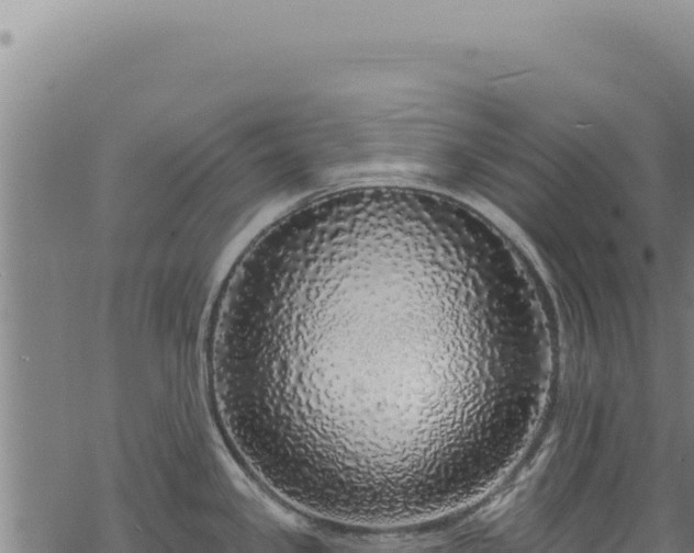 X0000068841341200605121357