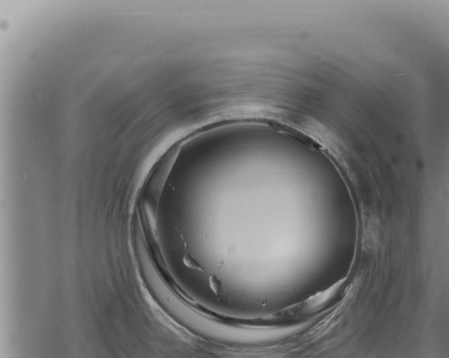 X0000068841342200605121357