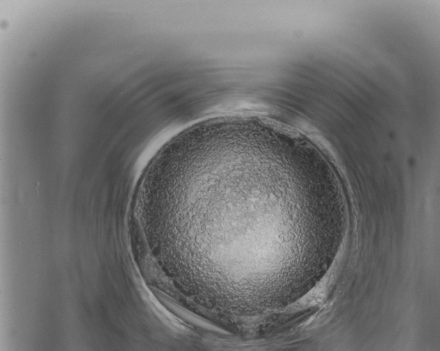 X0000068841344200605121357