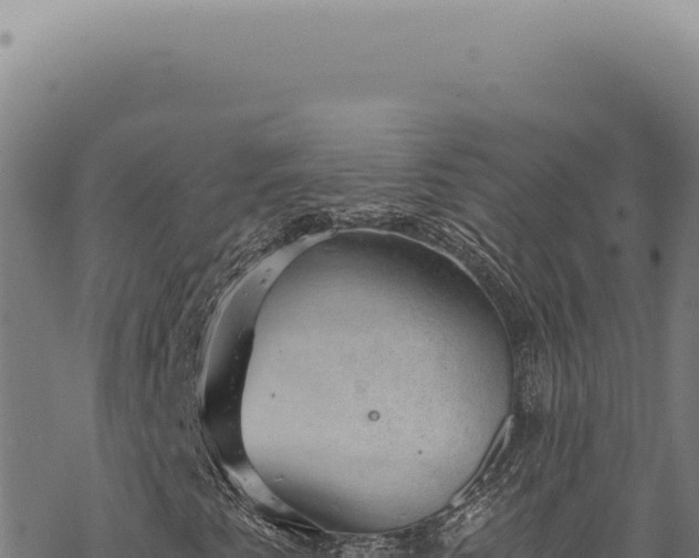 X0000068841345200605121356