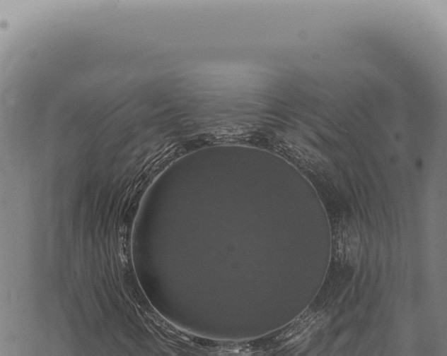 X0000068841346200605121356