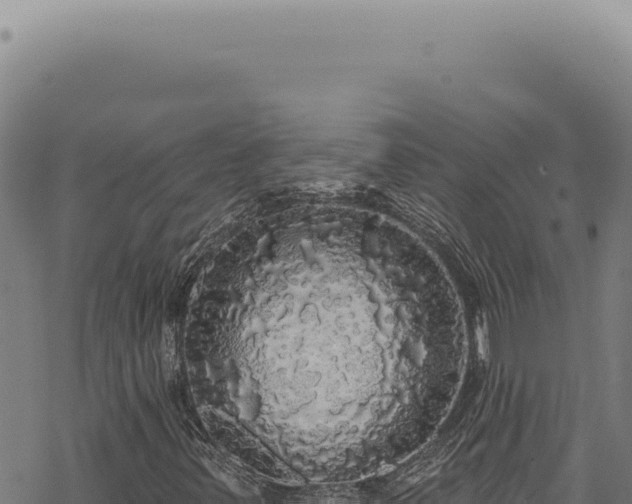 X0000068841347200605121356