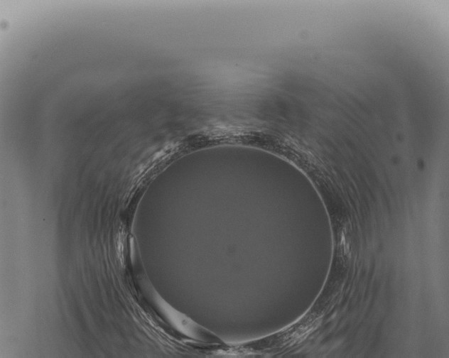 X0000068841348200605121356