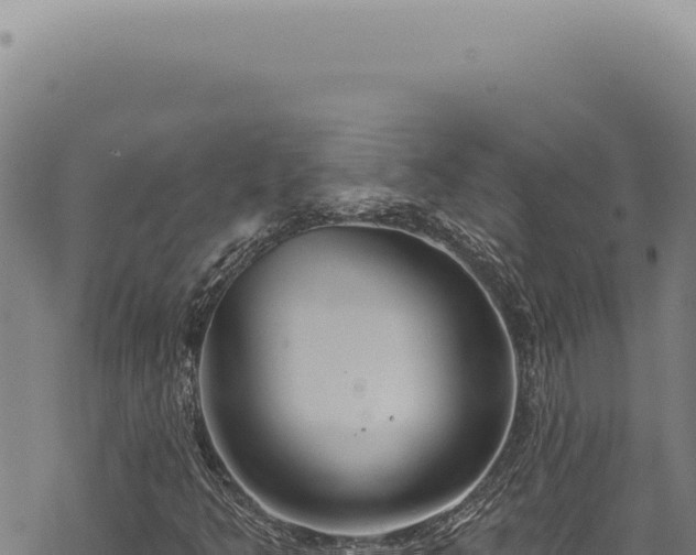 X0000068841349200605121356