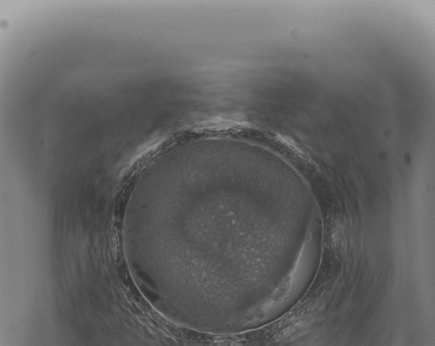 X0000068841350200605121356