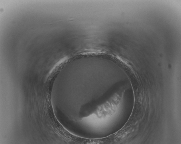 X0000068841351200605121356