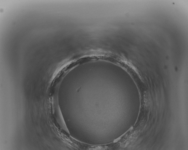 X0000068841352200605121356