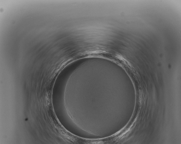 X0000068841353200605121356