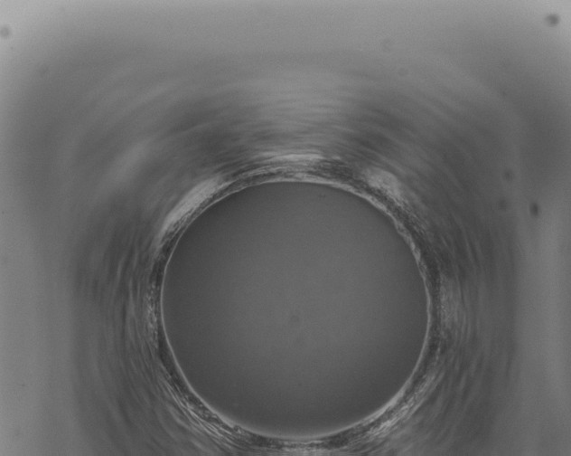 X0000068841354200605121356