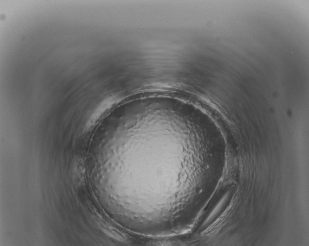 X0000068841355200605121356