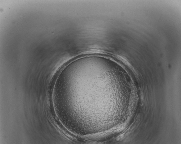 X0000068841356200605121356