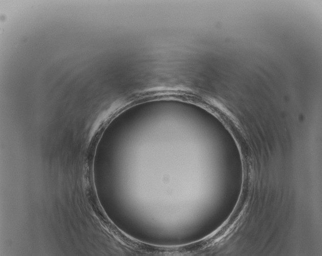 X0000068841357200605121356