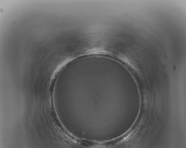 X0000068841358200605121356