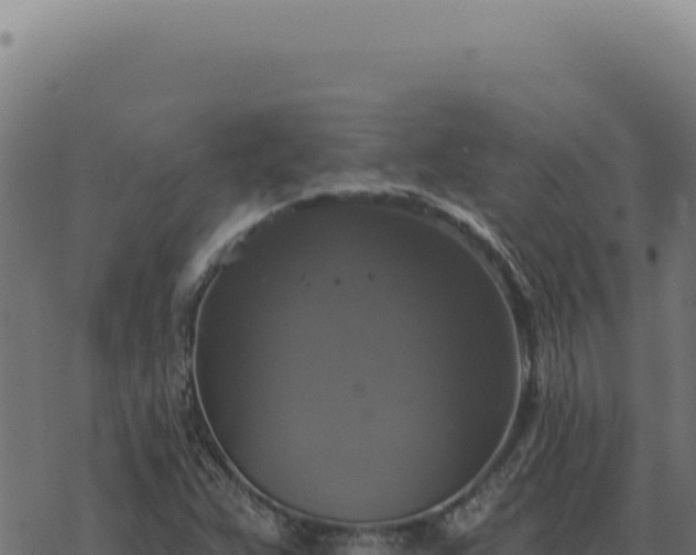 X0000068841359200605121356