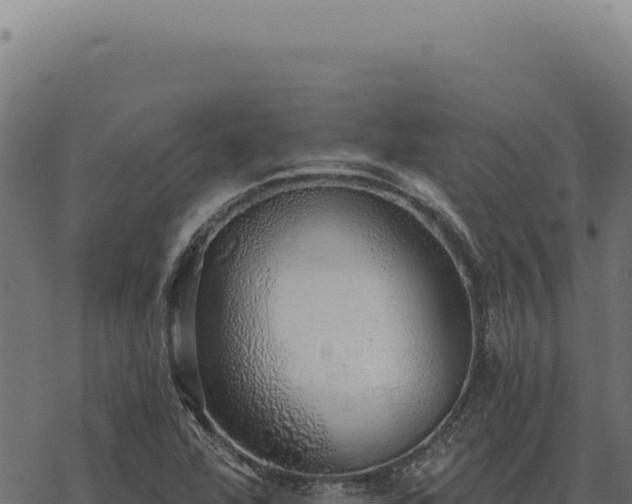 X0000068841360200605121356