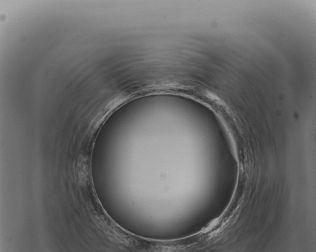 X0000068841361200605121356